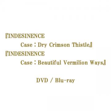 市川知宏　舞台『INDESINENCE　Dry/Beautiful』DVD・Blu-ray