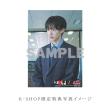 伊藤あさひ・JP　「正直不動産ミネルヴァSPECIAL」DVD・Blu-ray