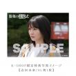 志田未来・市川知宏　「勝利の法廷式」DVD・Blu-ray BOX