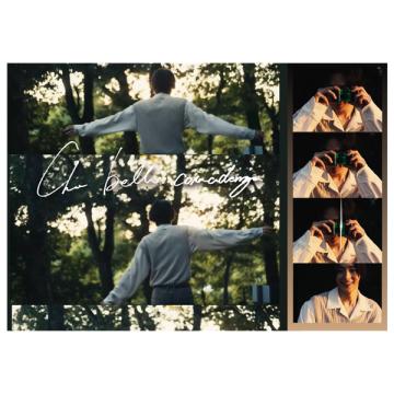 谷原七音　ミニポートフォリオ「Che bella coincidenza」【直筆サイン特典付き】