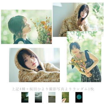 桜田ひより　FE2025 ポストカードセット