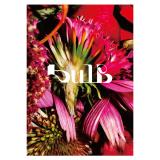 家入レオ　ZINE「bulb」