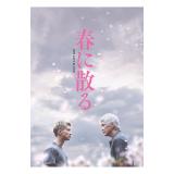 山口智子　「春に散る」 DVD・Blu-rayコレクターズ・エディション